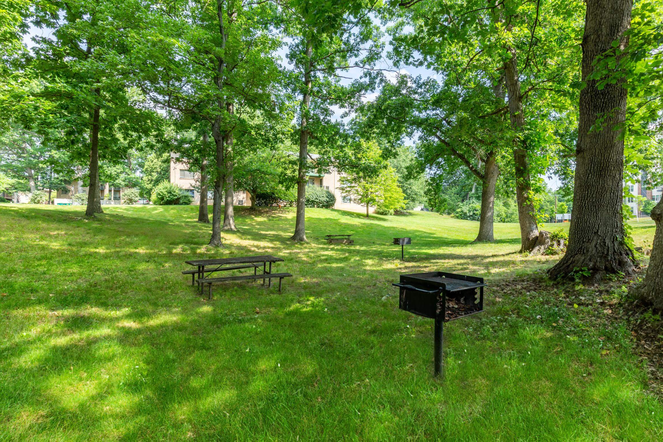 outdoor grills and tables Silver Spring MD apartments at Glenmont Metro